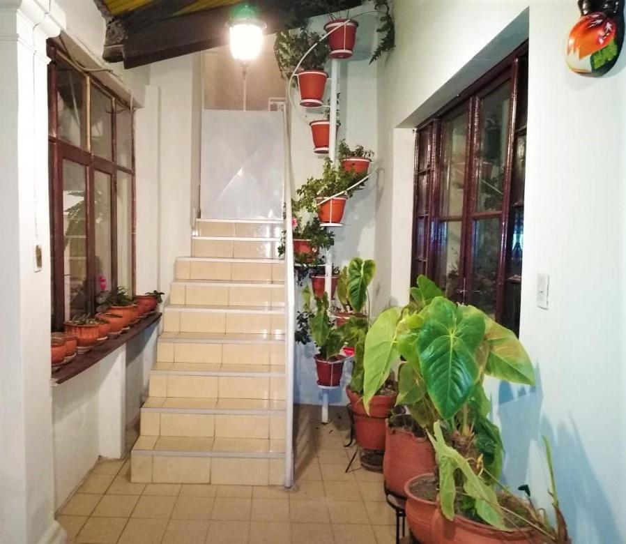 Hospedaje Ajayu سوكر المظهر الخارجي الصورة
